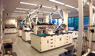 lab